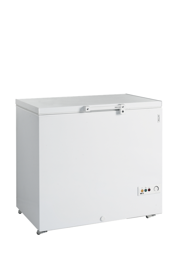 Congélateur de crème glacée FR305 SL