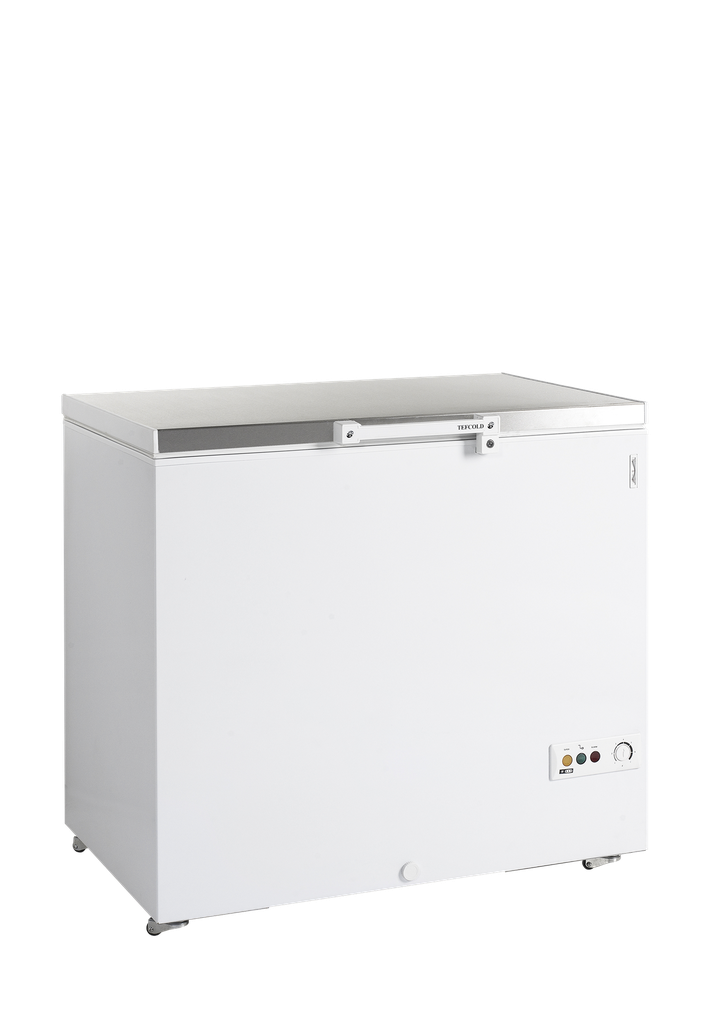 Congélateur de crème glacée FR305S SL