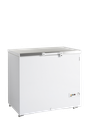 Congélateur de crème glacée FR305S SL
