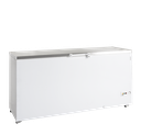 Congélateur de crème glacée FR605S SL