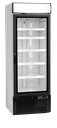 Réfrigérateur vitré NC2500G