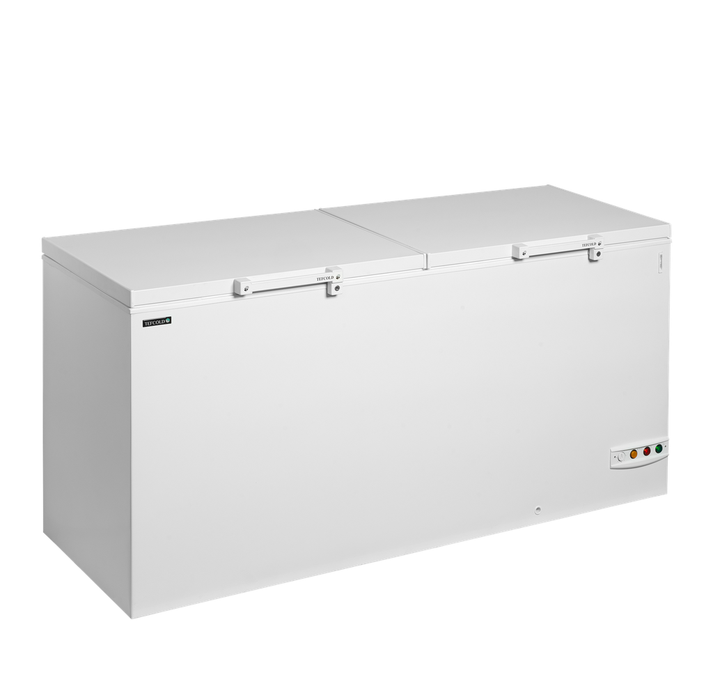 Congélateur de crème glacée FR606 SL