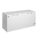 Congélateur de crème glacée FR606 SL