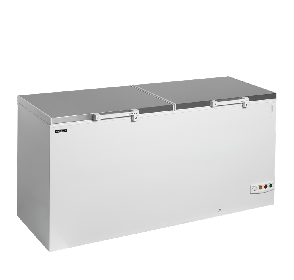 Congélateur de crème glacée FR606S SL