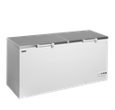 Congélateur de crème glacée FR606S SL
